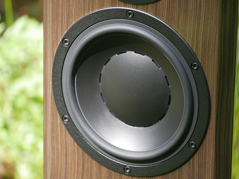 Dynaudio Special Forty Bass