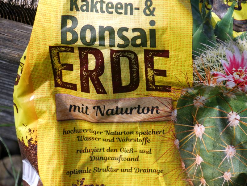 Bonsaierde