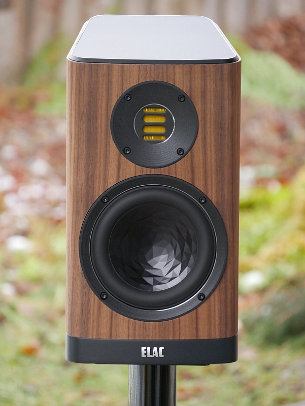 Vela BS 403 nußbaum geoelt von vorne