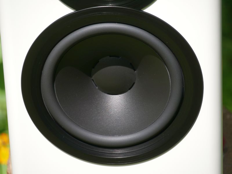 Dynaudio Focus 10 Basschassis