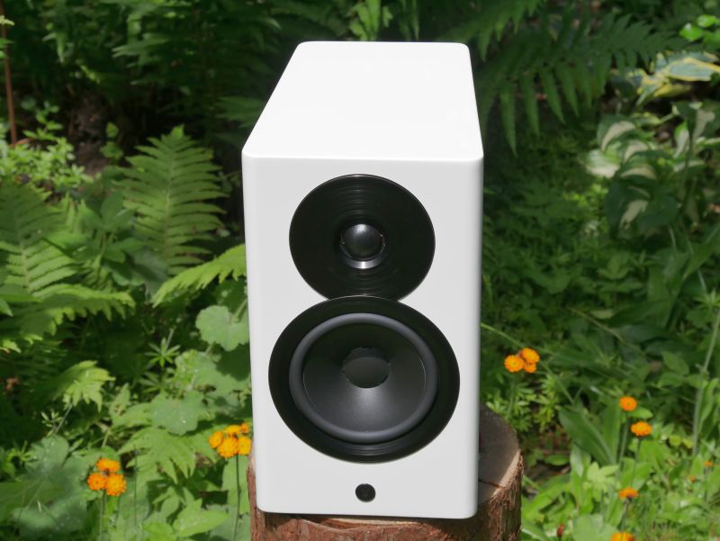 Dynaudio Focus 10 von vorne