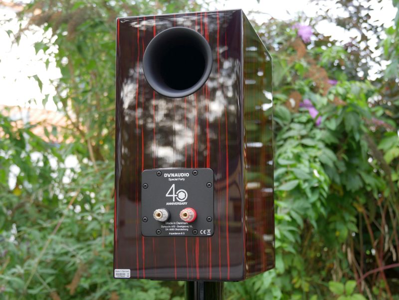 Special Forty Black Vine von hinten